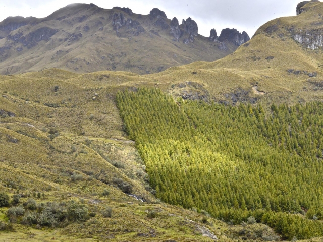 Ecuador Landschaft